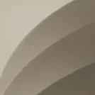 The Psychology of Color in Branding